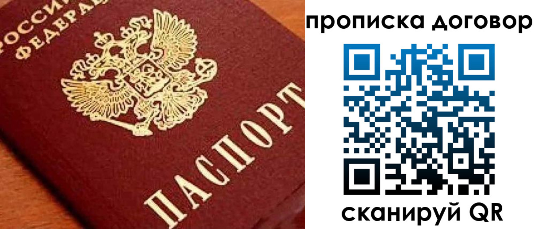 прописка поиск в Мурманске